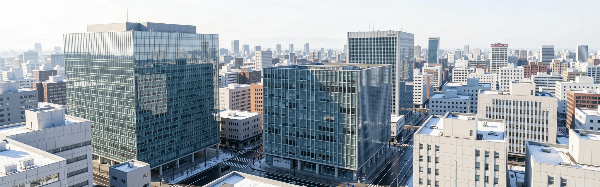 Sapporo business district
